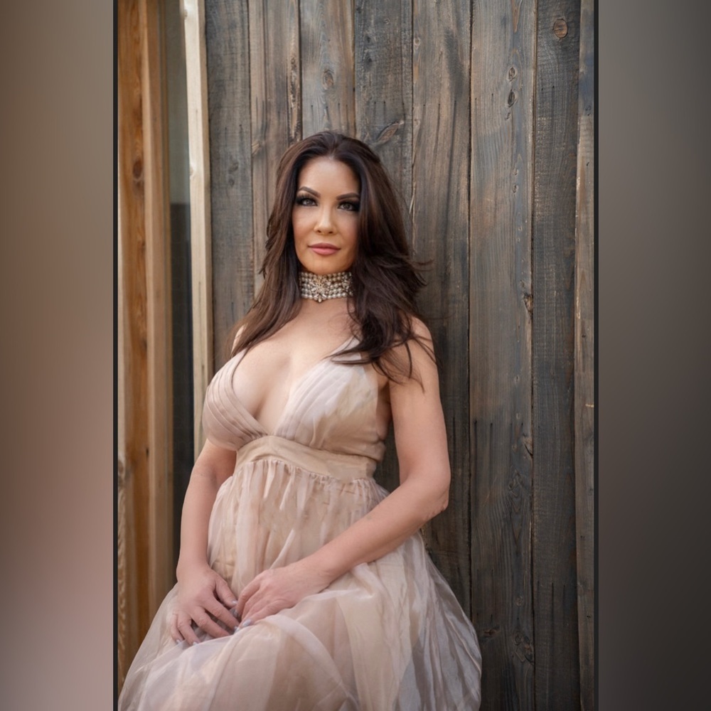 Blush tone organza maxi dress